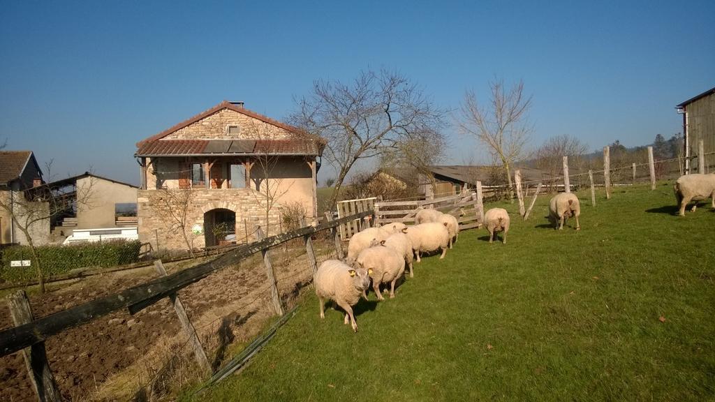 クリュニー Ferme De La Corbette Bed & Breakfast エクステリア 写真